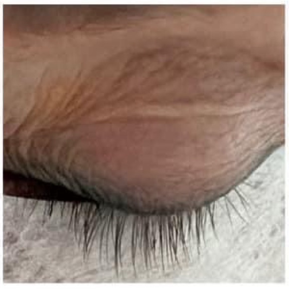 Lash Serum - Picture 2 of 4